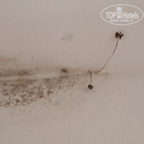 фото из отзыва ID 2054679