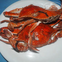 фото из отзыва ID 2058796