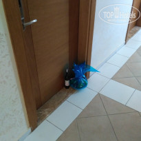 фото из отзыва ID 2059388