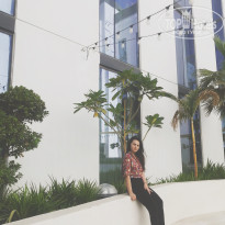 фото из отзыва ID 2059398