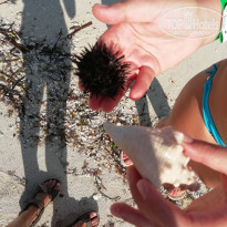 фото из отзыва ID 2059467