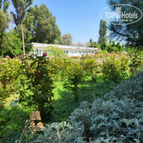 фото из отзыва ID 2059494