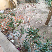 фото из отзыва ID 2059606