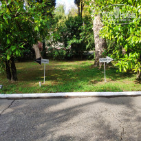 фото из отзыва ID 2059556