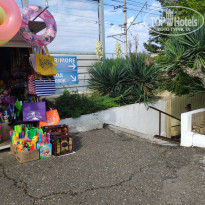 фото из отзыва ID 2059556