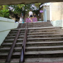 фото из отзыва ID 2059556