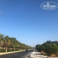 фото из отзыва ID 2059600