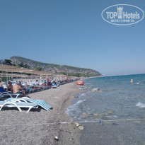 фото из отзыва ID 2059454