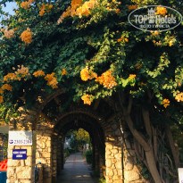 фото из отзыва ID 2059744