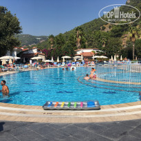 фото из отзыва ID 2059744