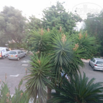 фото из отзыва ID 2056414