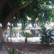 фото из отзыва ID 2056414