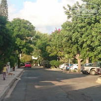 фото из отзыва ID 2056414