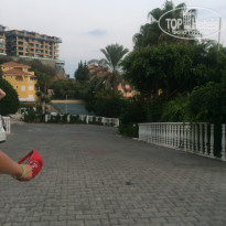 фото из отзыва ID 2059816