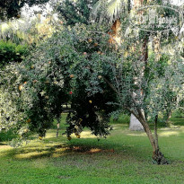 фото из отзыва ID 2059825