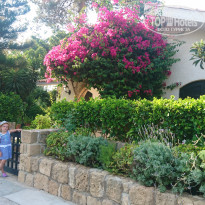 фото из отзыва ID 2056414