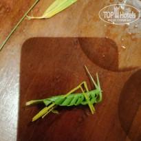 фото из отзыва ID 2059834