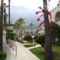 фото из отзыва ID 2059950