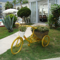 фото из отзыва ID 2059950