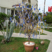 фото из отзыва ID 2059950