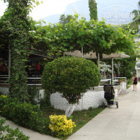 фото из отзыва ID 2059950