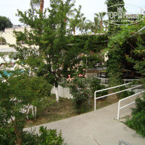 фото из отзыва ID 2059950