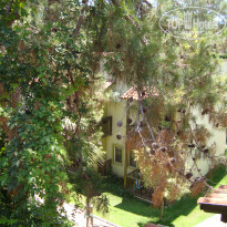 фото из отзыва ID 2059958