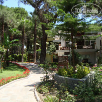 фото из отзыва ID 2059958