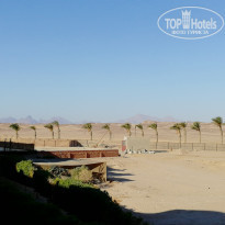 фото из отзыва ID 2059582