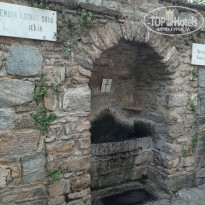 фото из отзыва ID 2057382