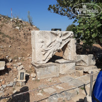 фото из отзыва ID 2057382