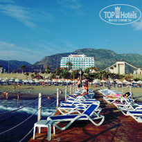 фото из отзыва ID 2059912