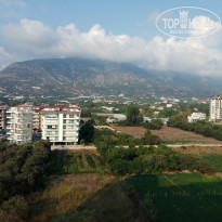 фото из отзыва ID 2059912