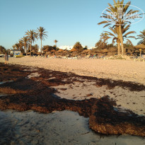 фото из отзыва ID 2057835