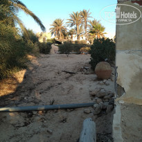 фото из отзыва ID 2057835