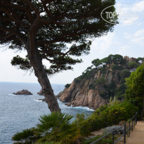 фото из отзыва ID 2056984