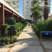 фото из отзыва ID 2054075