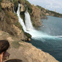 фото из отзыва ID 2054075