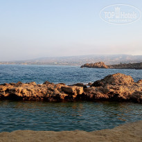 фото из отзыва ID 2050337