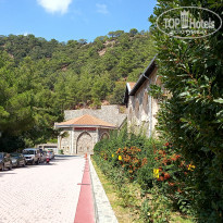 фото из отзыва ID 2050337