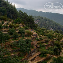 фото из отзыва ID 2050337