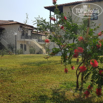 фото из отзыва ID 2055375