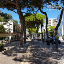 фото из отзыва ID 2056916