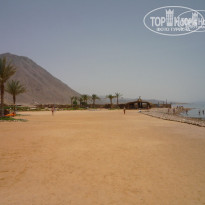 фото из отзыва ID 206663