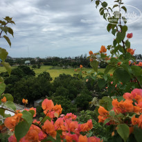 фото из отзыва ID 2060000