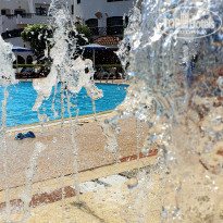 фото из отзыва ID 2060045