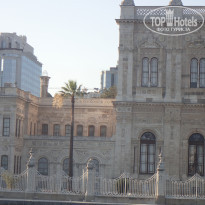 фото из отзыва ID 2060143