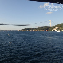 фото из отзыва ID 2060143