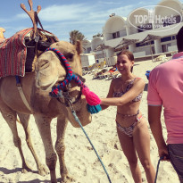 фото из отзыва ID 2060211