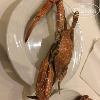 фото из отзыва ID 2060211